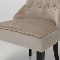 Cleo Upholstered Dining Chair with Black Legs - Mink Velvet